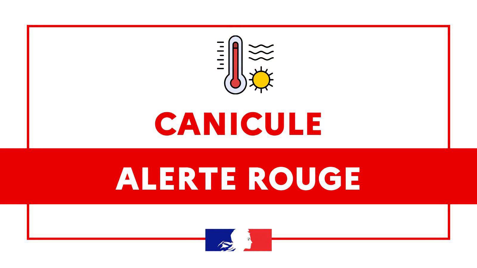 CANICULE ROUGE